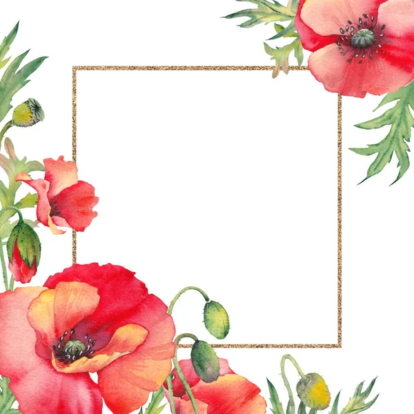 Quadratischer Rahmen mit roten Mohnblumen. Aquarell florale Illustration. — Stockfoto