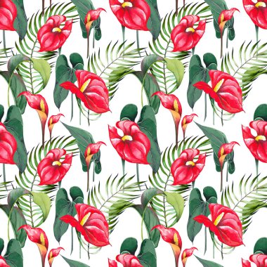 Kırmızı Anthurium çiçekleriyle kusursuz desen.