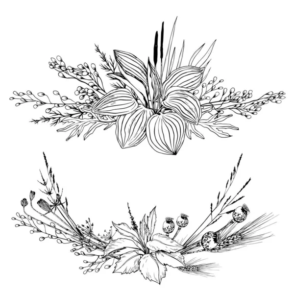 Arreglos de hierbas y flores silvestres. Ilustración vectorial dibujada a mano. — Vector de stock
