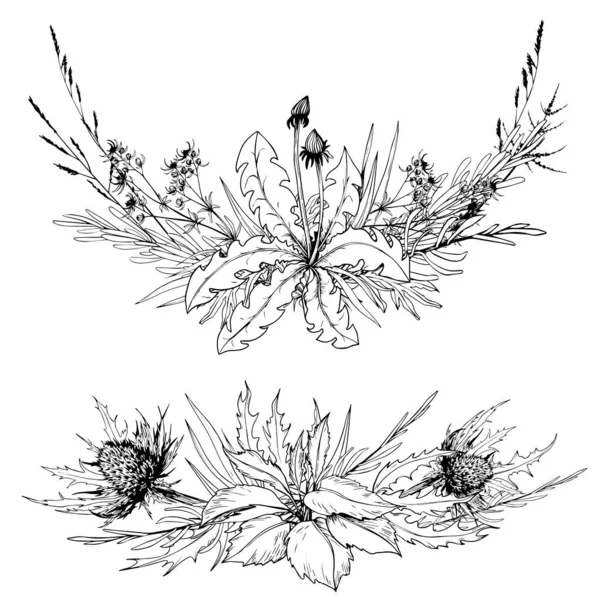 Wildkräuter und Blumen umrahmen die Arrangements. Handgezeichnete Vektorillustration. — Stockvektor