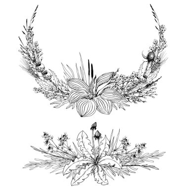 Yabani otlar ve çiçek aranjmanları. El çizimi vektör illüstrasyonu.