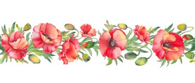 Kırmızı gelincik çiçekleriyle kusursuz bir sınır. Beyaz üzerine suluboya çiçek illüstrasyonu.