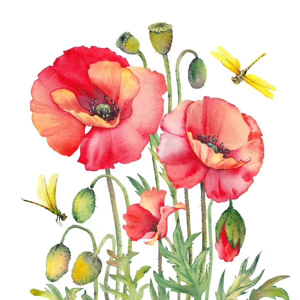 Red poppy flowers and dragonflies. Watercolor floral illustration.