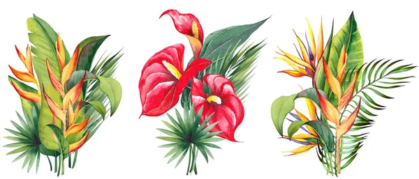 Tropiska blomsterarrangemang med rÃ ¶ d anthurium, strelitzia, heliconia och palmblad. — Stockfoto