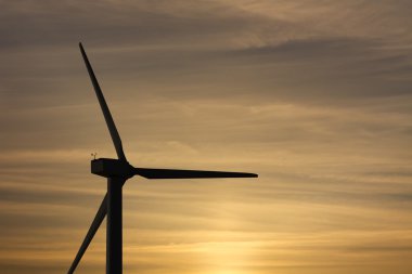 Rüzgar değirmenleri park siluet ekolojik ve yenilenebilir elektrik enerji için