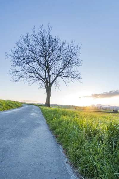 Coutryside gün batımında 