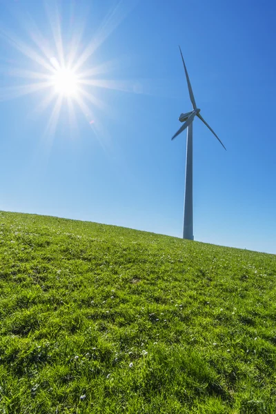 바람 밀 바람 에너지 파크 산업 에너지 생산 스톡 사진