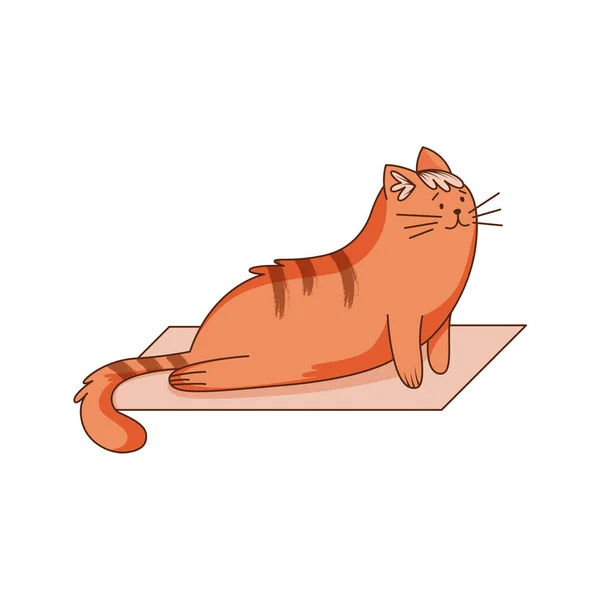 Çizgili Kuyruklu Tatlı Zencefilli Kedi Karakteri Mat Vector Illustration Yoga — Stok Vektör