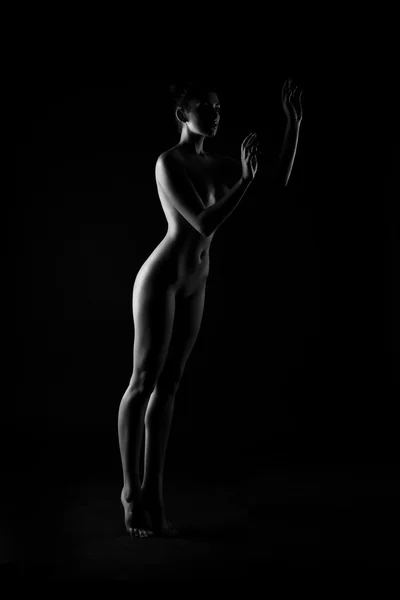 Contours of the female body on a dark background. Sexy body nude — Stock Photo, Image