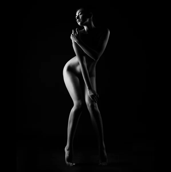 黑色背景的女性身体的轮廓。性感的身体裸体 图库照片