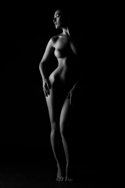 Contornos del cuerpo femenino sobre un fondo oscuro. Sexy cuerpo desnudo Imagen de archivo