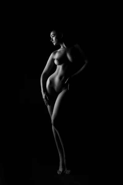 黑色背景的女性身体的轮廓。性感的身体裸体 图库图片