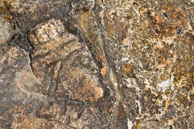 taş boyama, sevast yakınındaki cape chersonesus (hersones) Kırım