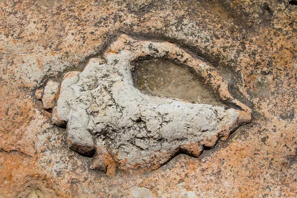 Rock schilderij, Cape Chersonesus (Hersones) op de Krim in de buurt van Sevastopol — Stockfoto