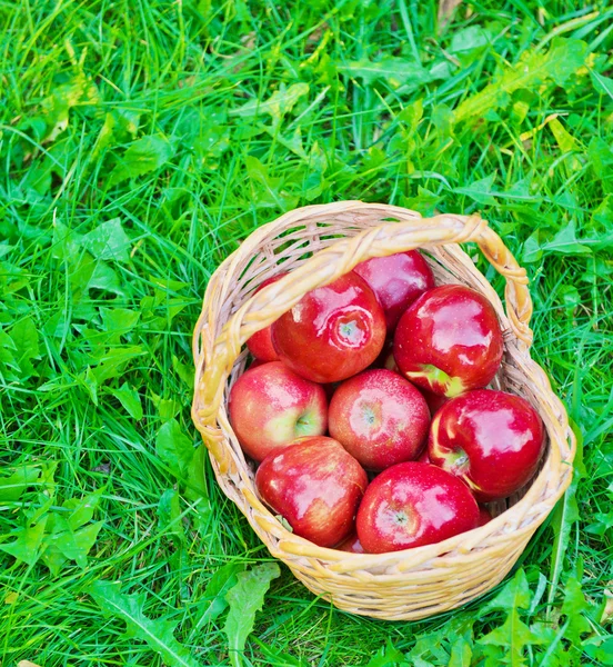 Pommes biologiques saines dans le panier — Photo