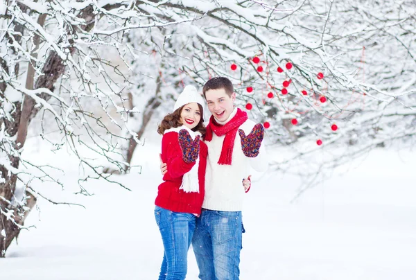 Outdoor waist up portrait of young beautiful happy smiling couple posing in  park. Models looking at camera, wearing stylish warm clothes. Day light,  sunny weather. Green fir-trees, snow on background Stock Photo |