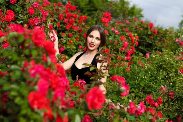 Retrato de bela jovem no jardim de rosas, primavera ti — Fotografia de Stock