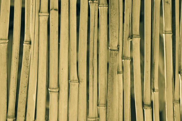Bambu vägg mönster — Stockfoto