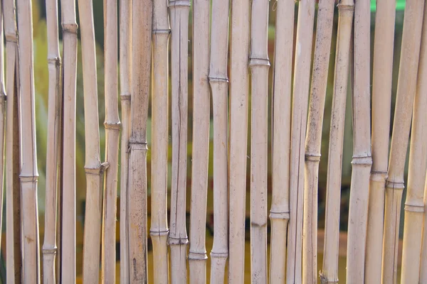 Bamboe muur patroon — Stockfoto