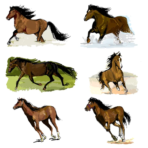 Conjunto de caballos marrones sobre fondo blanco — Archivo Imágenes Vectoriales