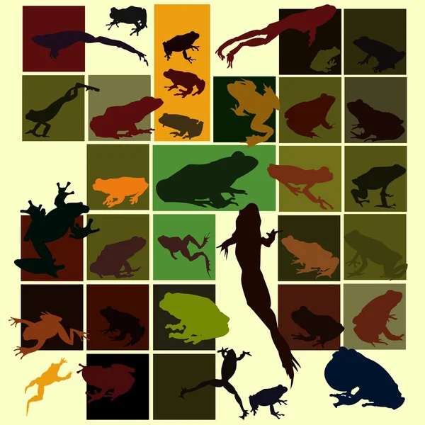 Frog colorful silhouette set — Stock Vector