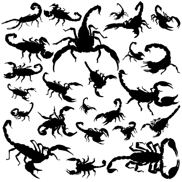Siluetas de escorpión negro sobre fondo blanco — Vector de stock