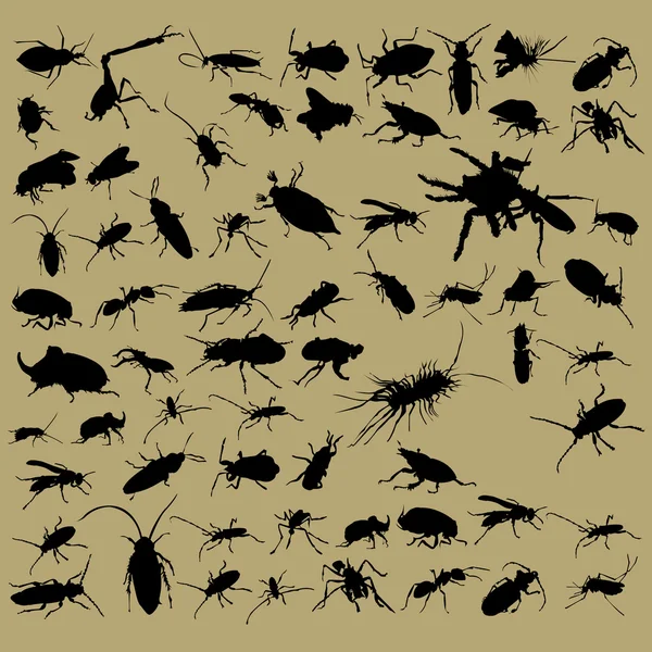 Bugs silhouettes set on beige background — Stock Vector