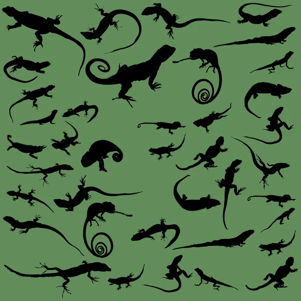 Lizard silhouettes set on the green background Vector Graphics