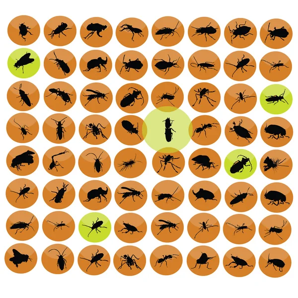 Set di insetti diversi nei cerchi arancioni — Vettoriale Stock