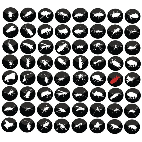Bugs set in black circles on white background — Stock Vector