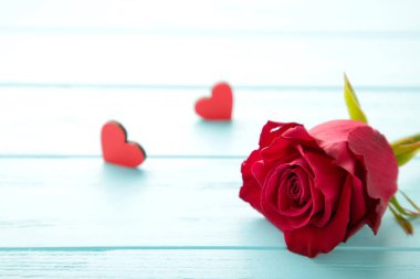 Mavi arka planda kalpleri olan kırmızı gül çiçeği. Sevgililer Günü