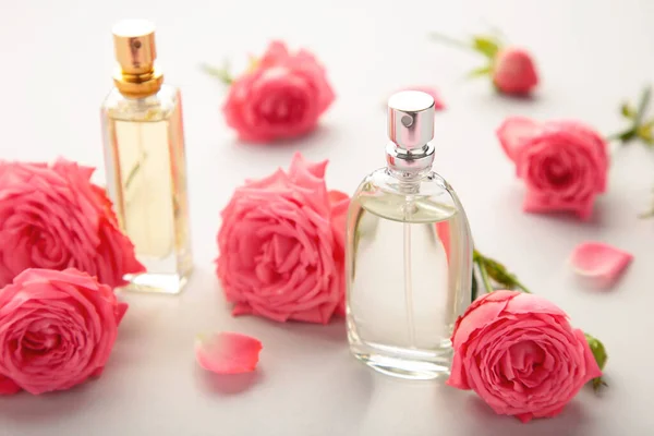 Butelki Perfum Różowymi Różami Szarym Widok Góry — Zdjęcie stockowe