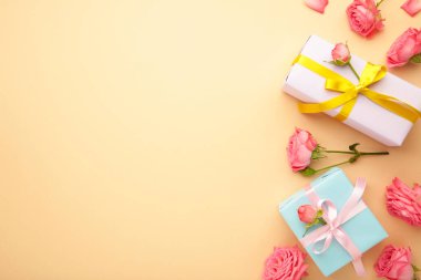 Sevgililer Günü arkaplanı pembe güller ve bej arka planda hediye kutusu. Kopyalama alanı olan üst görünüm.