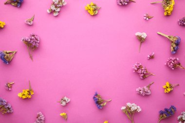 Çiçek kompozisyonu. Pembe arka planda çingene çiçekleri. Bahar, yaz konsepti. Düz yatıyordu