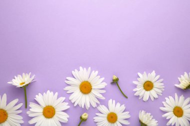 Bahar ve yaz çiçekleri mor arka planda. Üst görünüm