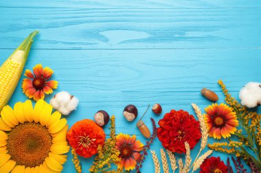 Sonbahar kompozisyonu. Mavi ahşap arka planda taze çiçeklerden yapılmış bir çerçeve. Şükran Günü