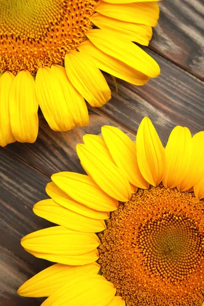 Hermosos Girasoles Frescos Sobre Fondo Marrón Otoño Verano Concepto Época — Foto de Stock