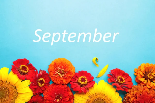 Hallo September Nachricht Mit Verschiedenen Herbstblumen Auf Blauem Hintergrund Herbstliche — Stockfoto