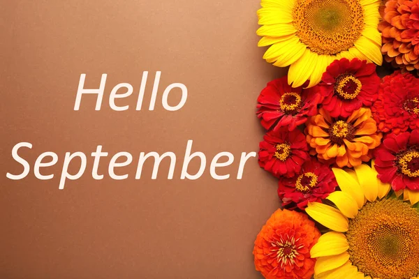 Hallo September Nachricht Mit Verschiedenen Herbstblumen Auf Braunem Hintergrund Herbstliche — Stockfoto