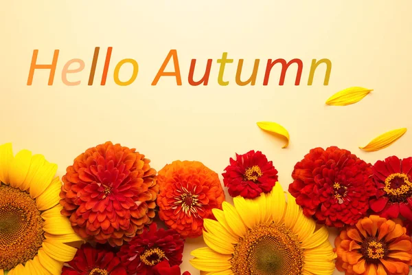 你好秋天的消息与不同的秋天的花米色背景 秋季作文 — 图库照片