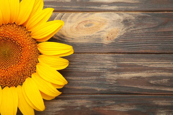 Hermoso Girasol Fresco Sobre Fondo Marrón Otoño Verano Concepto Época — Foto de Stock