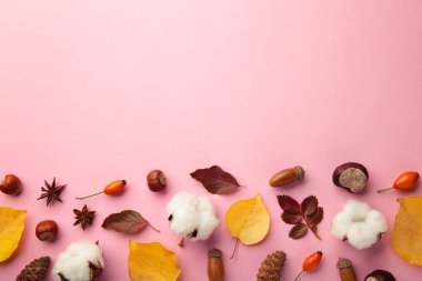 Sonbahar kompozisyonu. Kurumuş yapraklar, çiçekler, pembe arka planda böğürtlenler. Dikey fotoğraf.