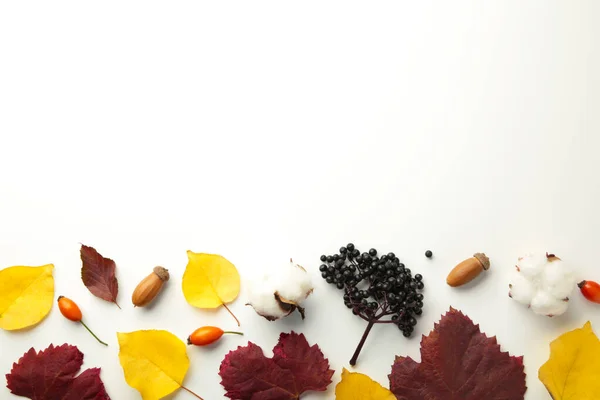 Herbstliche Komposition Mit Getrockneten Blüten Und Blättern Auf Grauem Hintergrund — Stockfoto