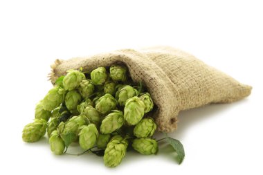 Beyaz arka planda izole edilmiş bir çuvala atlayın. Üst görünüm