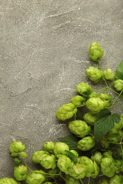 Green Fresh Hop Cones Making Beer Bread Grey Background Top — Stock Photo, Image
