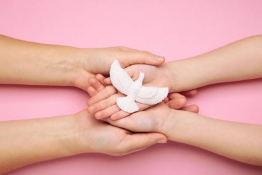 Pembe arka planda güvercin olan ailenin elleri. Anne ve çocuk. Üst görünüm