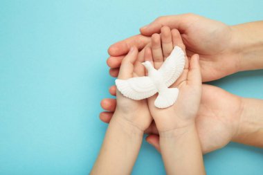 Mavi arka planda güvercin olan ailenin elleri. Anne ve çocuk. Üst görünüm