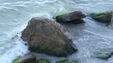 dalgalar deniz kıyısı buzlu yıkama