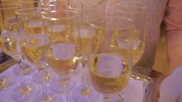 Servitören innehar en bricka med glas champagne — Stockvideo