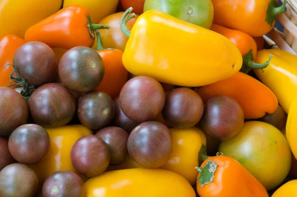 Basket Colorful Vegetables Yellow Orange Bell Peppers Green Red Dark Royalty Free Stock Images